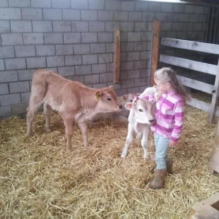 Bijou - Bioberguen מלון Bergün