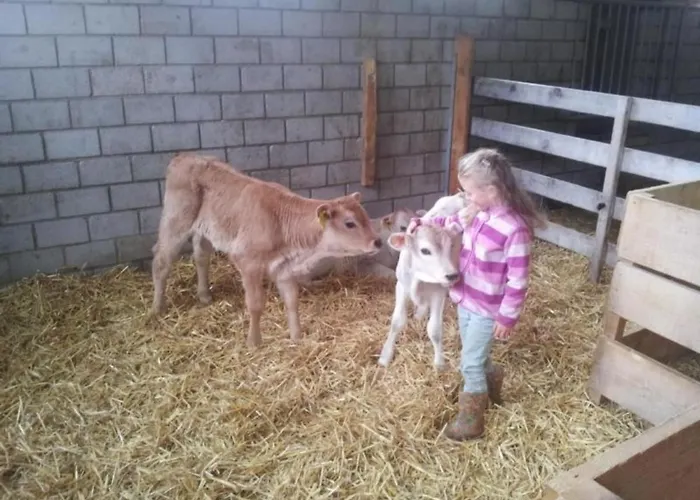 Bijou - Bioberguen Szálloda Bergün